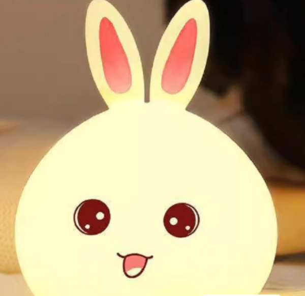 Decoration/accessories